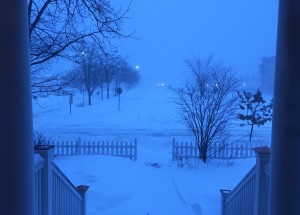 IMG_0387