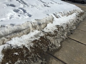 IMG_0425